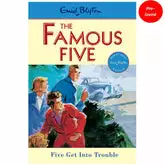 The Famous Five: Five Get Into Trouble